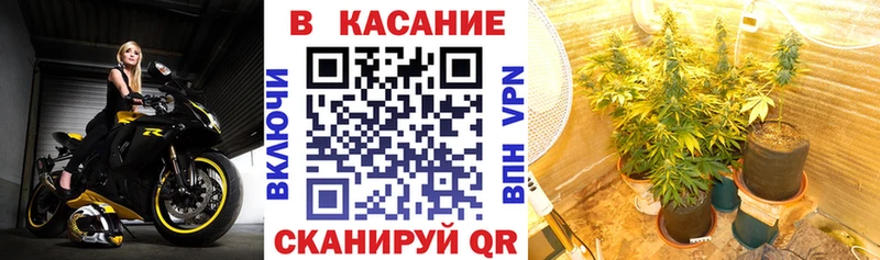 Как найти наркотики Коряжма Амфетамин  КОКАИН  OMG маркетплейс  Конопля  Псилоцибиновые грибы  A-PVP  ГАШИШ 