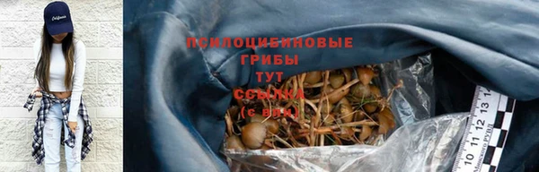 дурь Беломорск