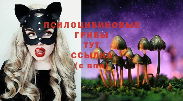 дурь Беломорск