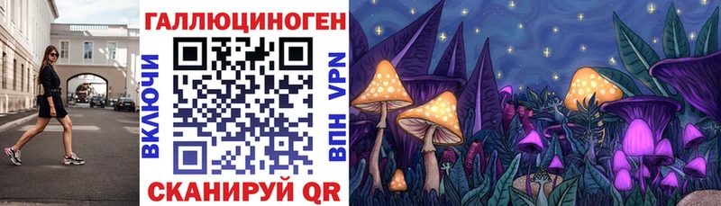 shop Telegram  Коряжма  Псилоцибиновые грибы Cubensis  omg tor 